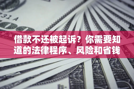 北京借款不还被起诉？你需要知道的法律程序、风险和省钱技巧