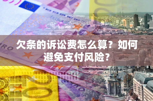 北京欠条的诉讼费怎么算？如何避免支付风险？